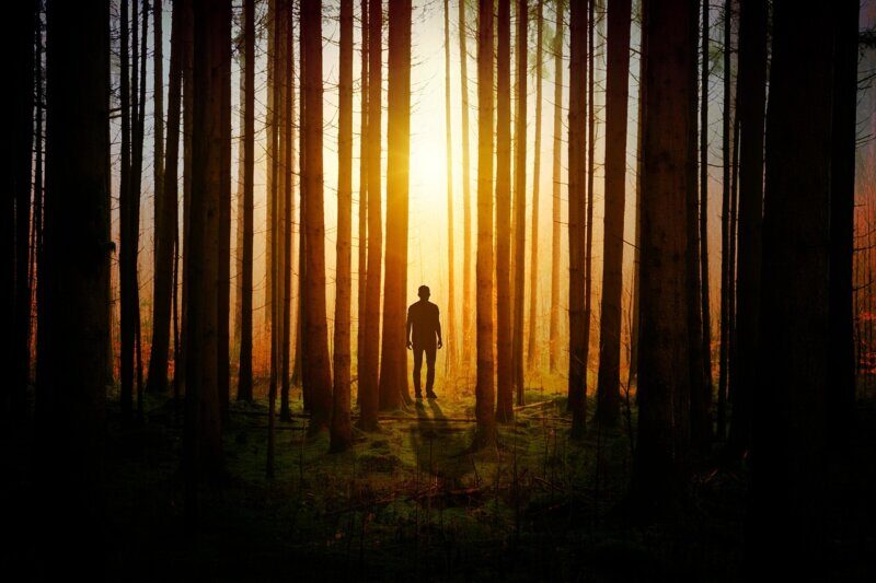 man, forest, sunlight, woods, trees, dark, sunshine, nature, landscape, man, man, man, man, man, forest, forest, forest, dark, dark, sunshine, sunshine