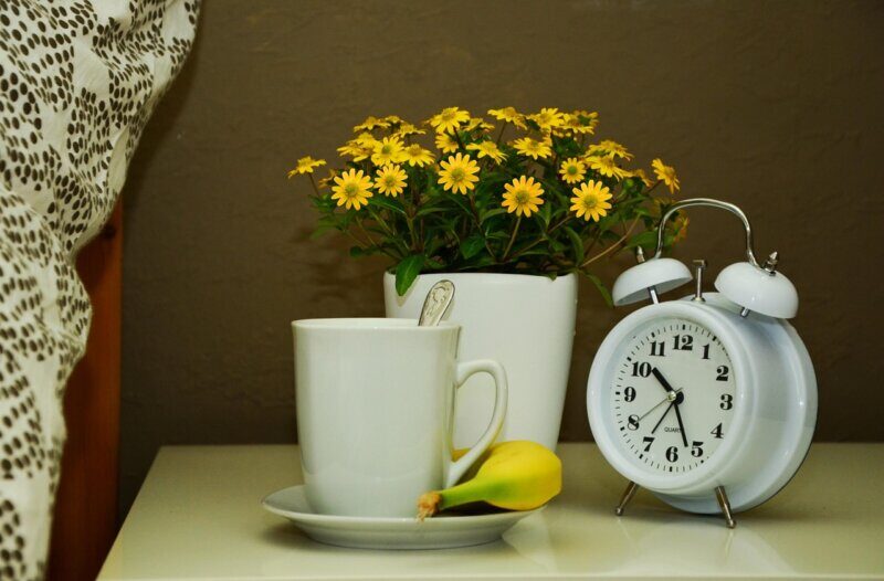 cup, bed, flower, recovery, nature, ill, alarm clock, get well soon, beautiful flowers, flower wallpaper, flower background, still life, quiet, disease