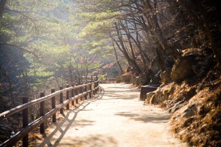 autumn, juwangsan, forest, nature, walk, juwangsan, juwangsan, juwangsan, juwangsan, juwangsan
