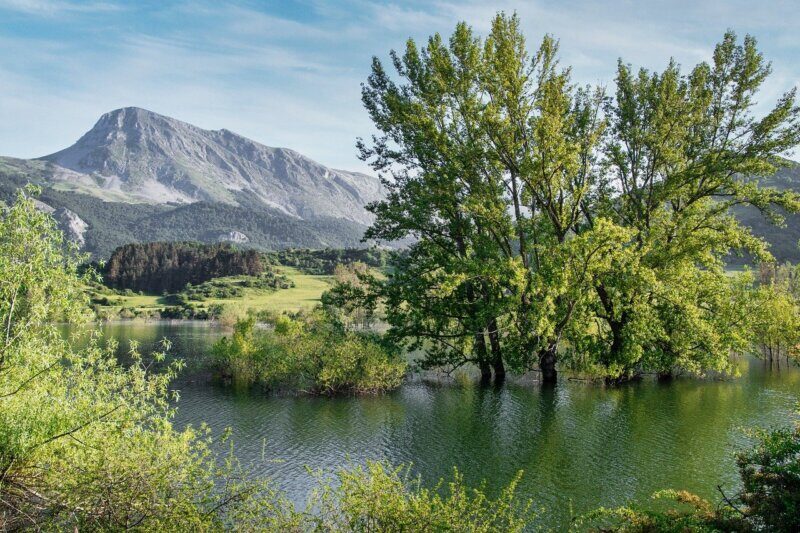 Priroda Srbije: mirno jezero okruženo šumom i planinama u pozadini.
